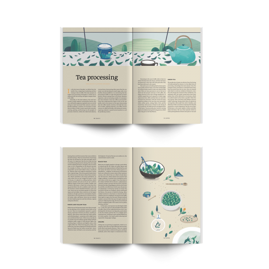 Standart magazine No. 15