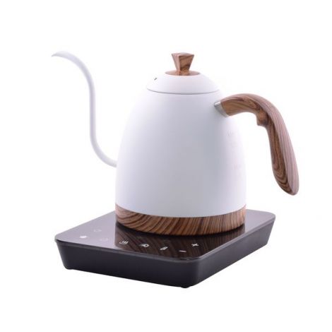 Brewista 0,9l ARTISAN electric kettle