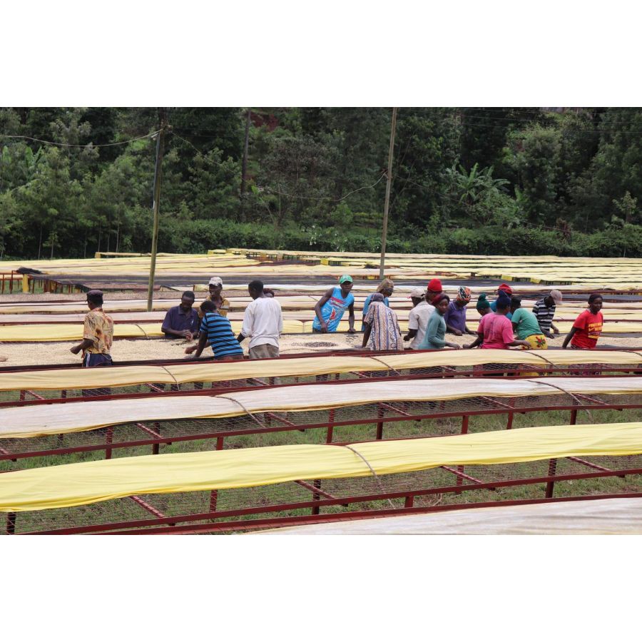 Nordbeans Keňa Mutitu PB 200g