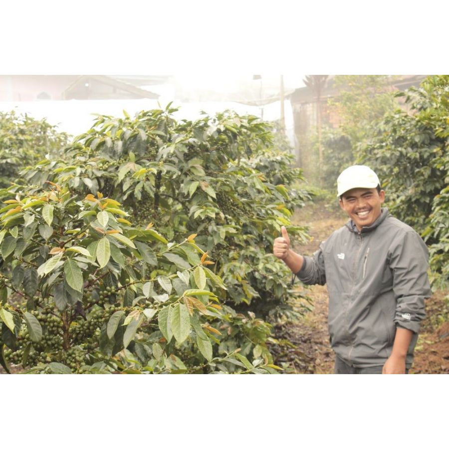 Nordbeans Indonésie Kerinci Gunung 200g