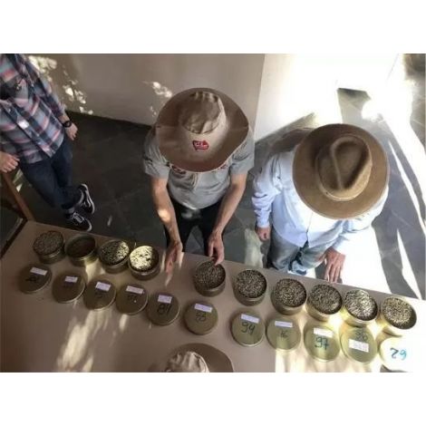 Fathers Coffee Brazil Manga Larga 300g