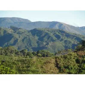 Costa Rica Tarrazu, közepes pörkölésű, arabica kávébabok