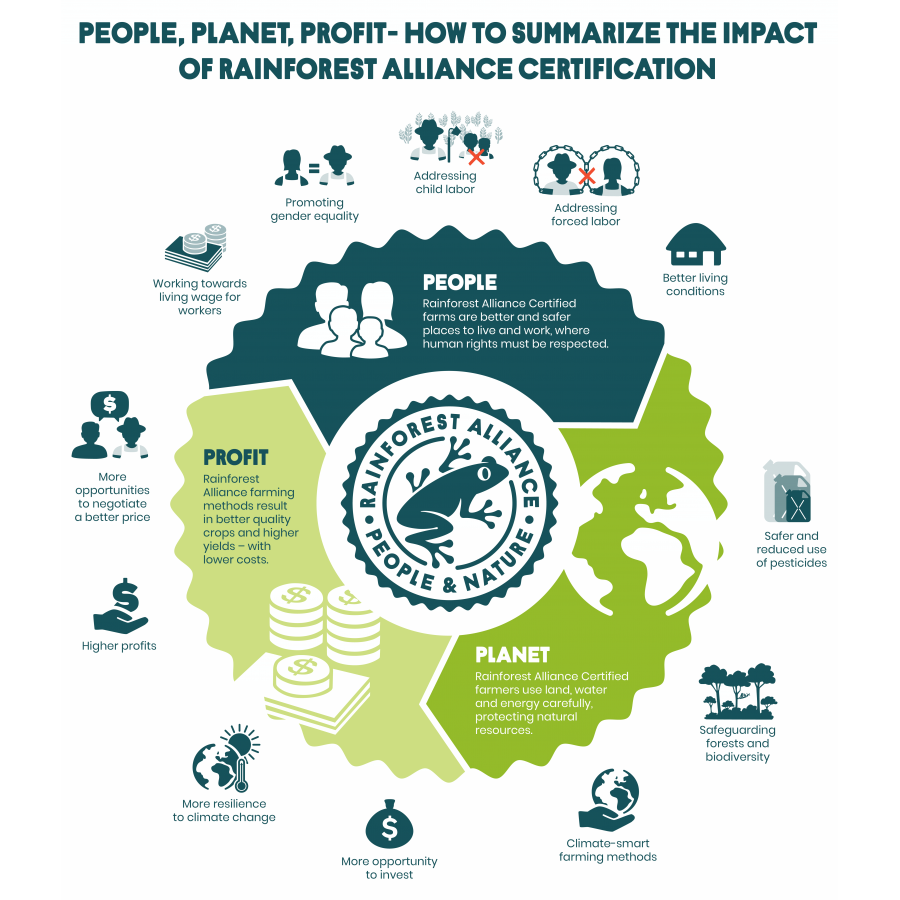 Brazil Fazenda Rainforest, whole bean arabica coffee