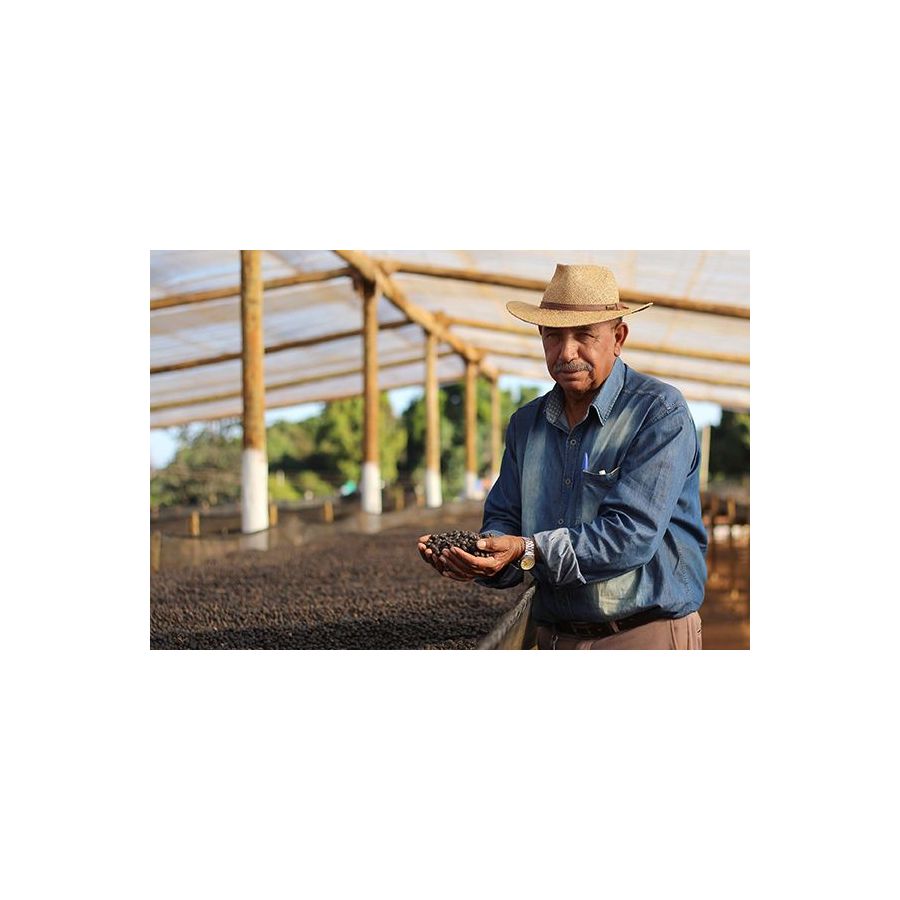 Nordbeans Brazil Sao Silvestre 200g