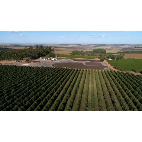 Nordbeans Horizont for espresso 250g