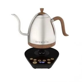 Brewista 1l electric kettle ARTISAN stainless steel
