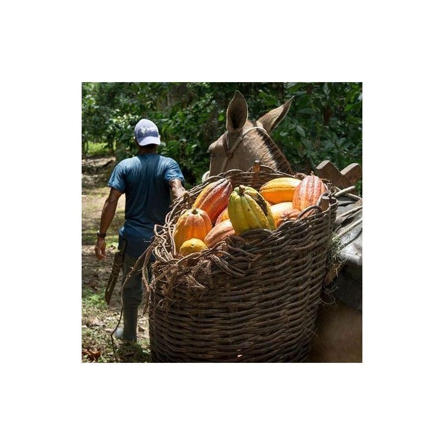 Chocolate Michel Cluizel Arcango Grand Noir 85%