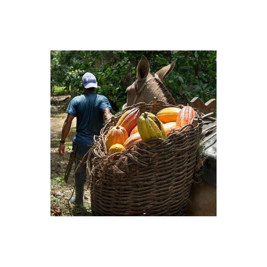 Chocolate Box Michel Cluizel "8 Cappuccino"