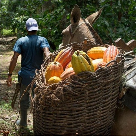 Chocolate Box Michel Cluizel "8 Cappuccino"