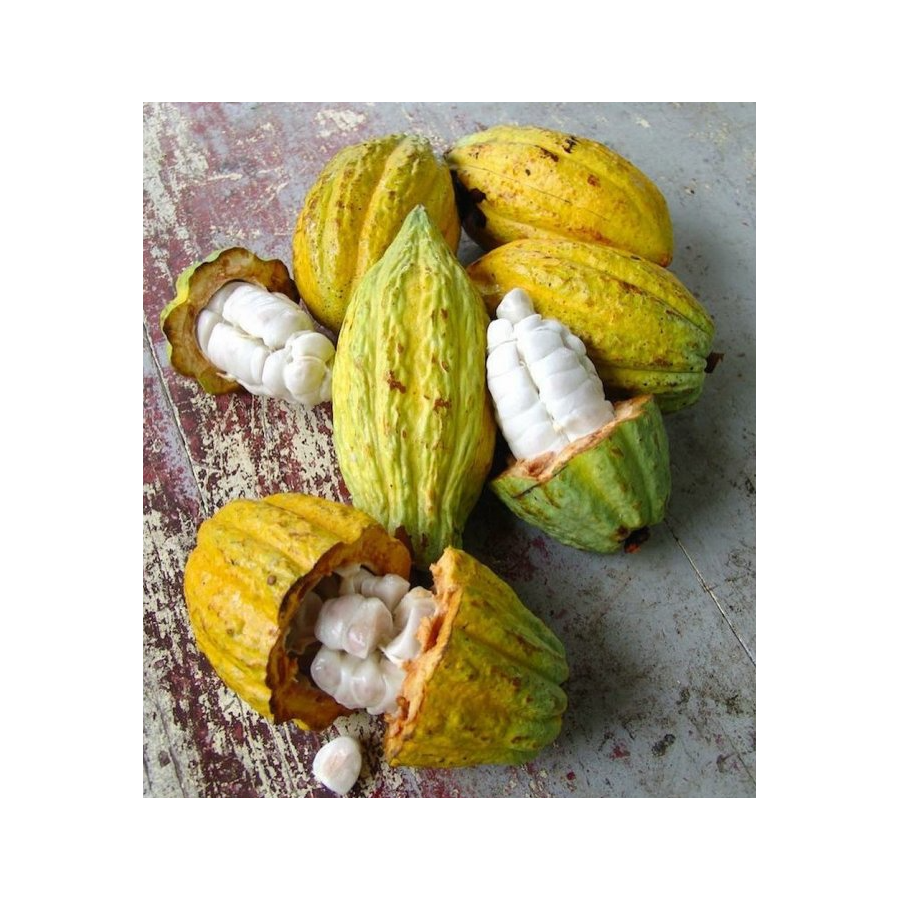 Chocolate Box Michel Cluizel "8 Cappuccino"