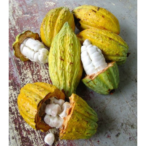 Chocolate Box Michel Cluizel "8 Cappuccino"