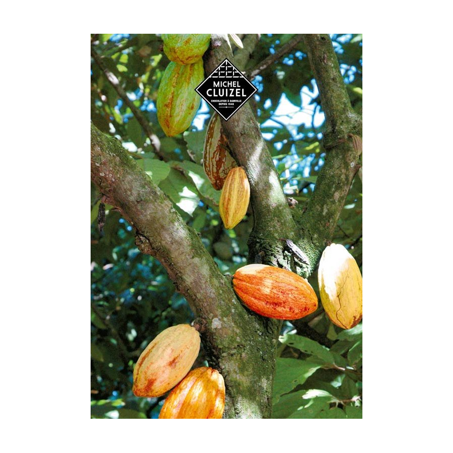 Chocolate Box Michel Cluizel "8 Cappuccino"
