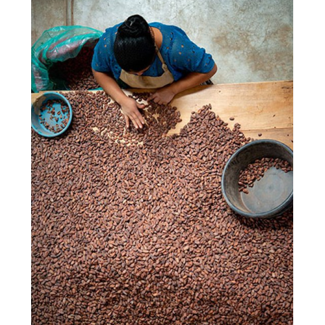 Čokoláda Bonboniéra Michel Cluizel „8 Cappuccino“