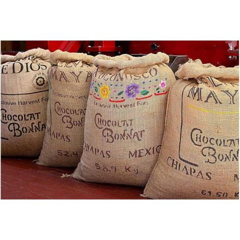 Czekolada Bonnat au Praline Noisettes - mleczna