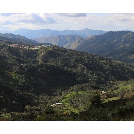 The Miners Peru Jacinto Jara 250g