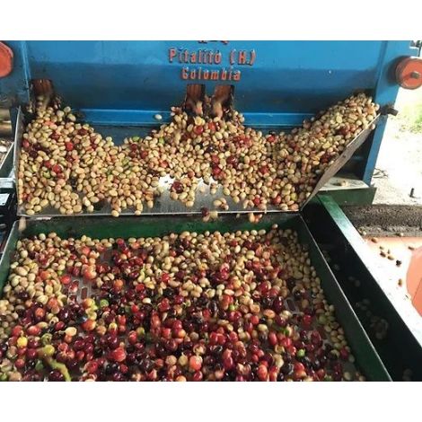 The Miners Peru Jacinto Jara 250g