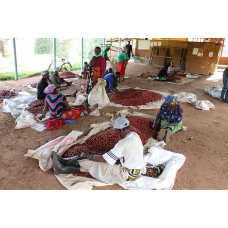 Fiftybeans Kenya Riakiberu, 200g