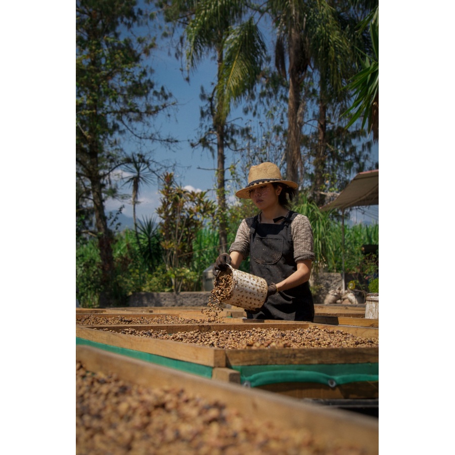 GourmetKáva Specialty - Mexico SV Kitos 250g