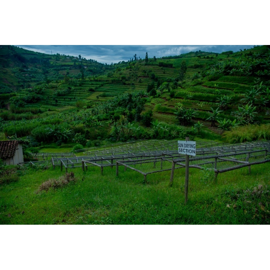 GourmetKáva Specialty - Rwanda Ngororero 250g