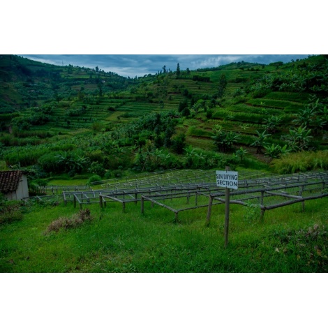 GourmetKáva Specialty - Rwanda Ngororero 250g