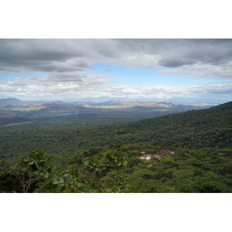 Nordbeans El Salvador RODOLFO, 250g