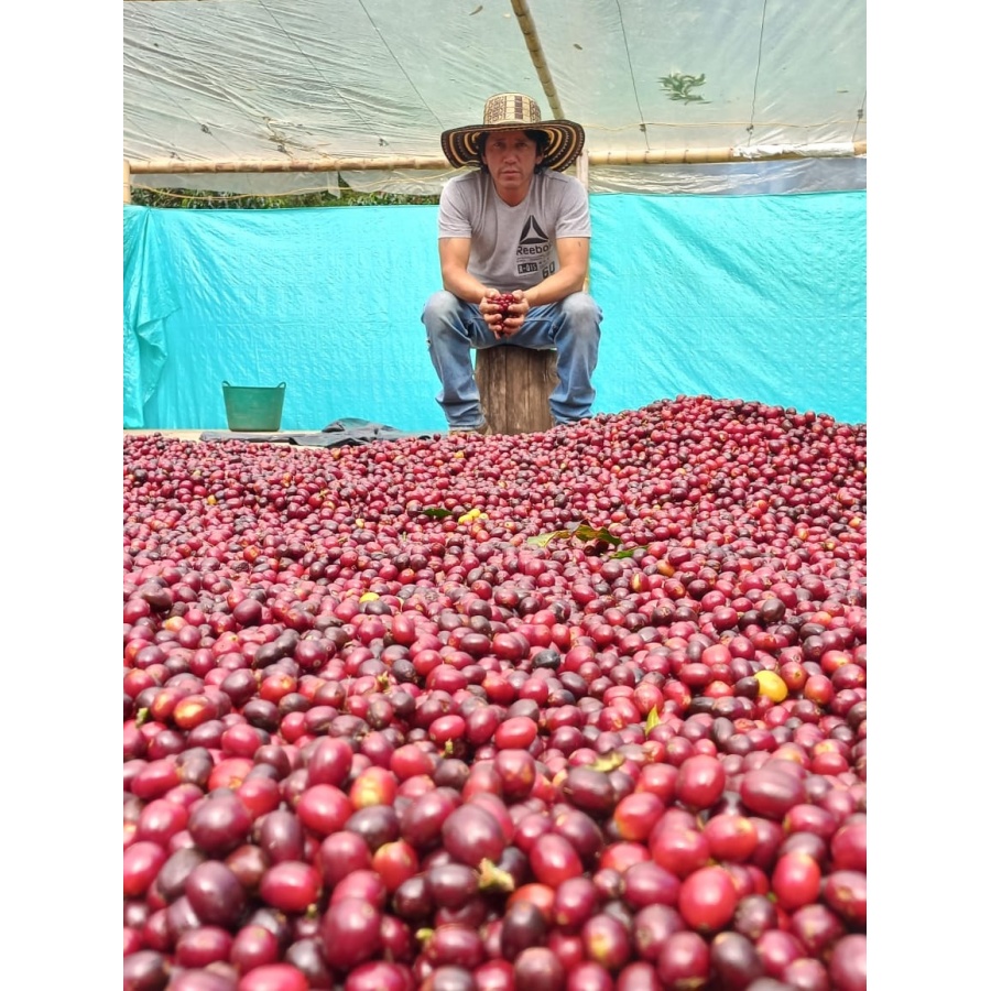 GourmetKáva Specialty Kolumbie El Agrado Honey 250g