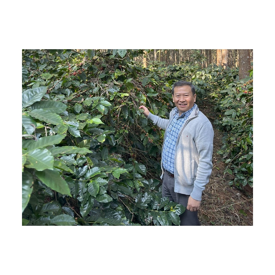 Dos Mundos Myanmar U Sai Wan 250g