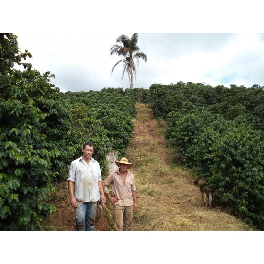 GourmetKáva Specialty - Brasil Honorio 250g