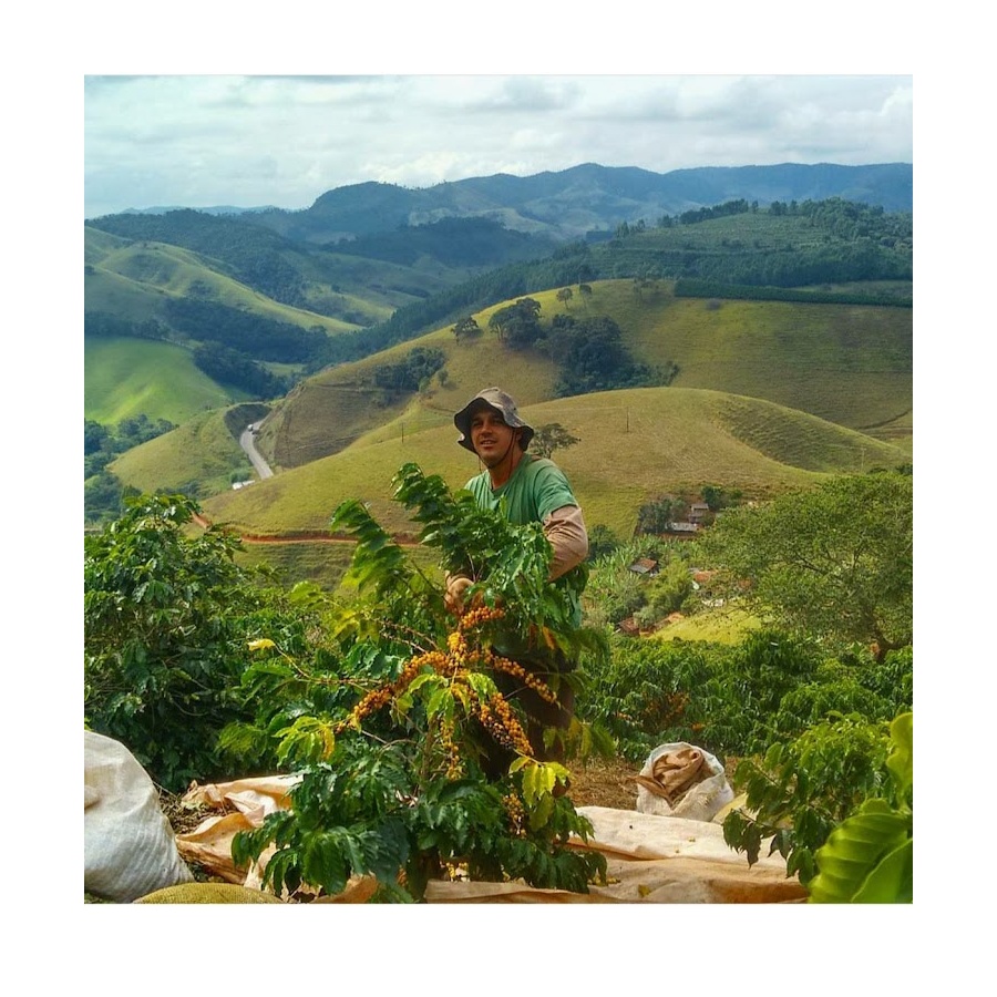 GourmetKáva Specialty - Brasil Honorio 250g