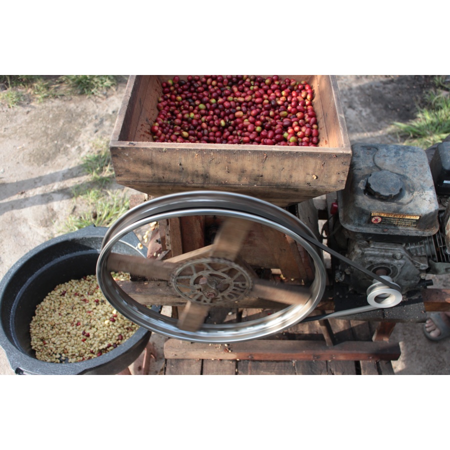 GourmetCoffee Specialty - Indonesia Aulila Kahfi 250g