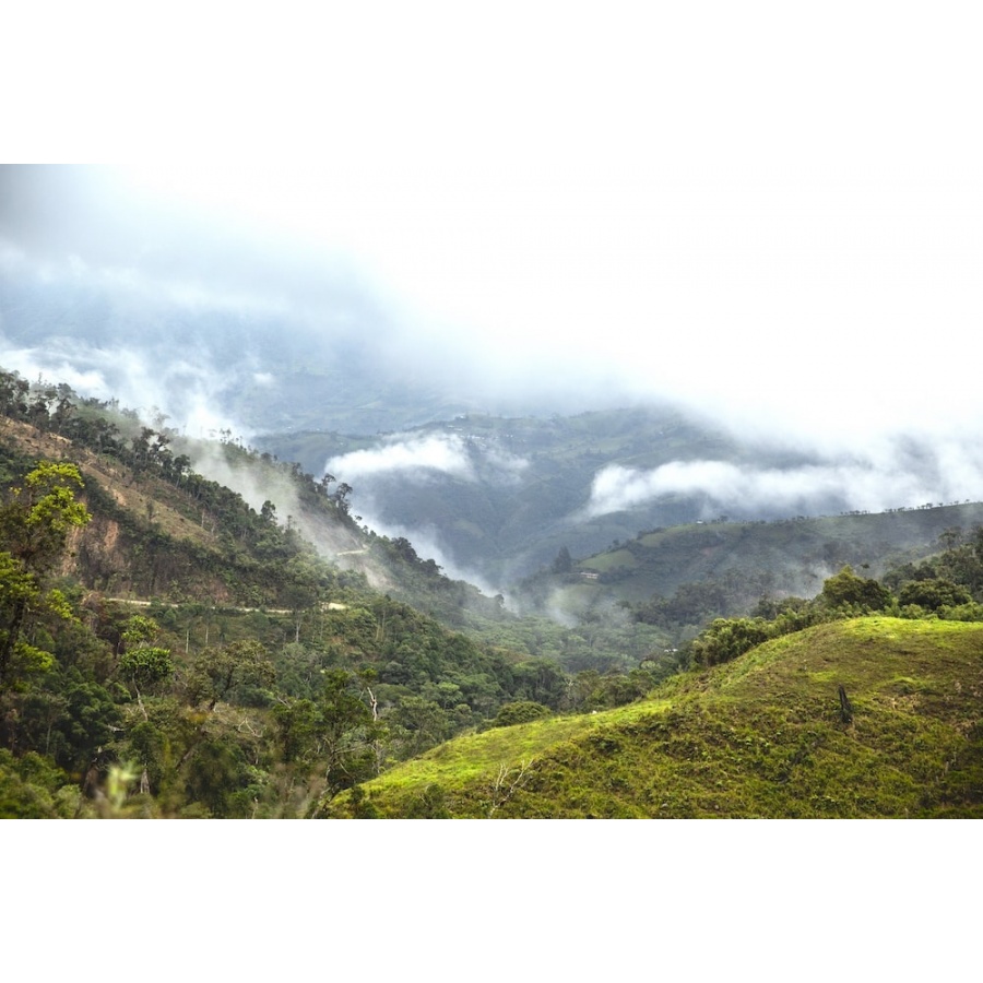 GourmetKáva Specialty - Peru T. Sachez 250g