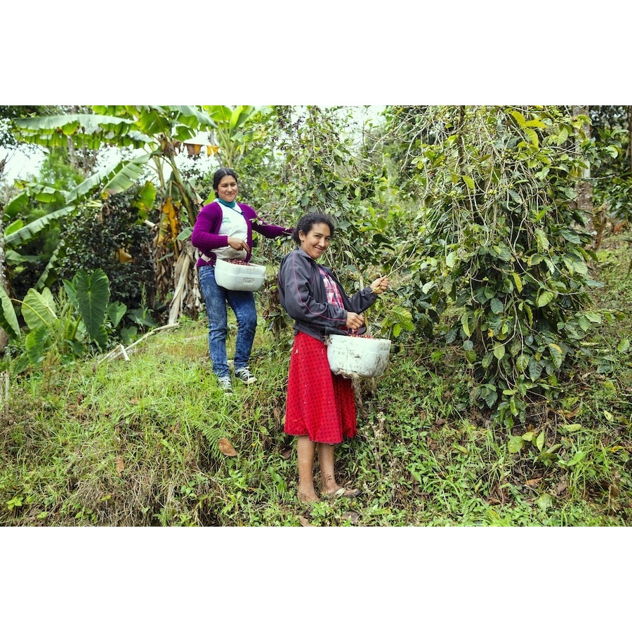 GourmetKáva Specialty - Peru T. Sachez 250g