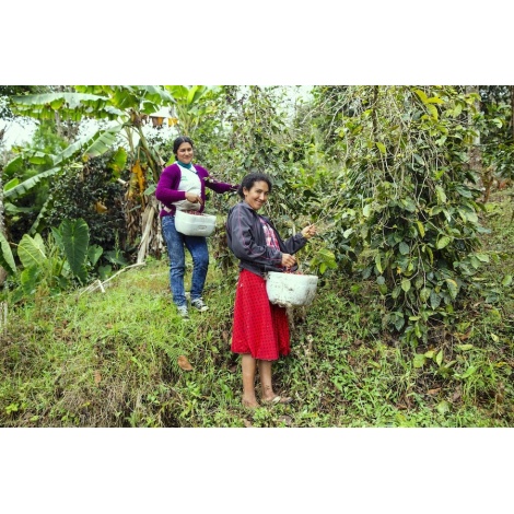 GourmetKáva Specialty - Peru T. Sachez 250g