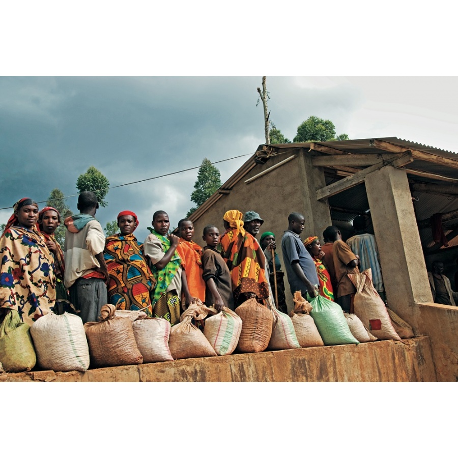 Book: The World Atlas of Coffee - James Hoffmann - 2nd Edition (EN)