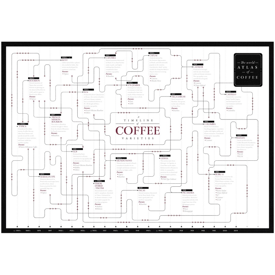 Book: The World Atlas of Coffee - James Hoffmann - 2nd Edition (EN)