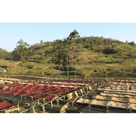 GourmetKáva Specialty Burundi Gakenke 250g