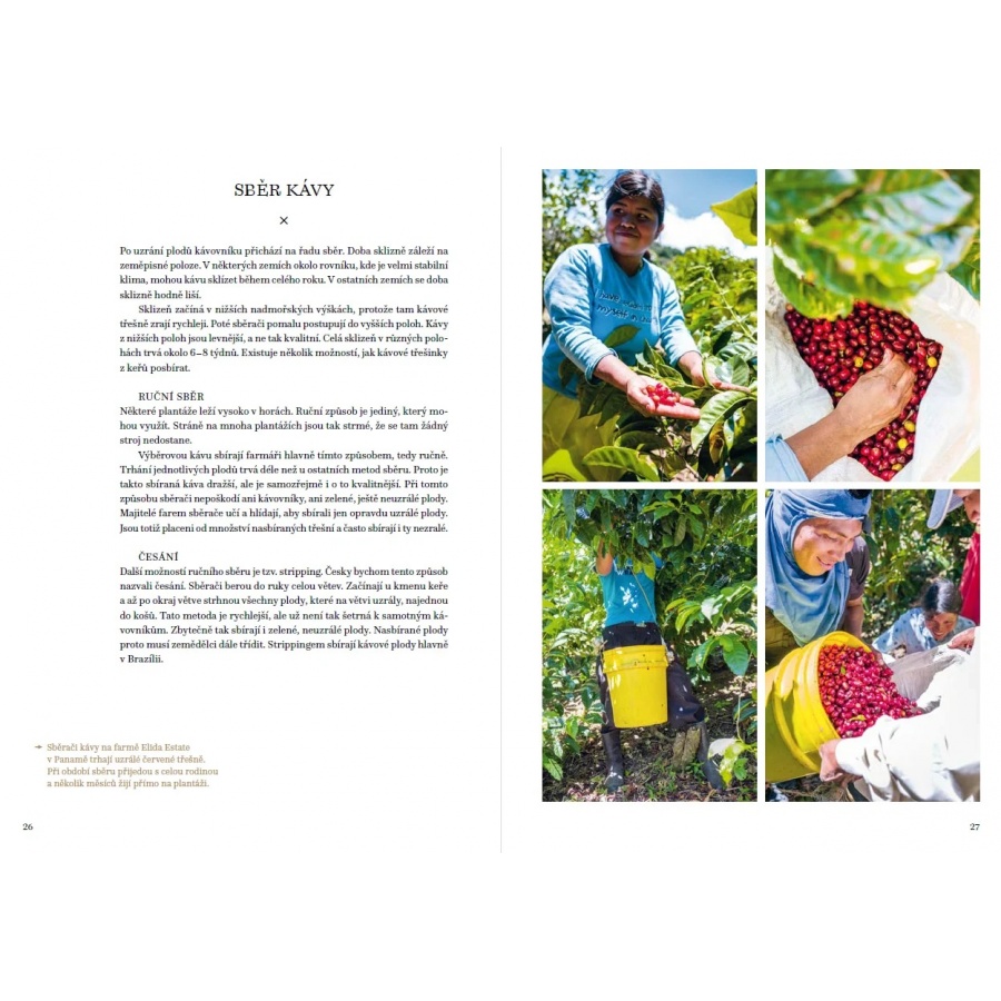 The Big Book of Coffee - Petra Veselá