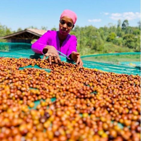 Nordbeans Ethiopia FUNKY 250g