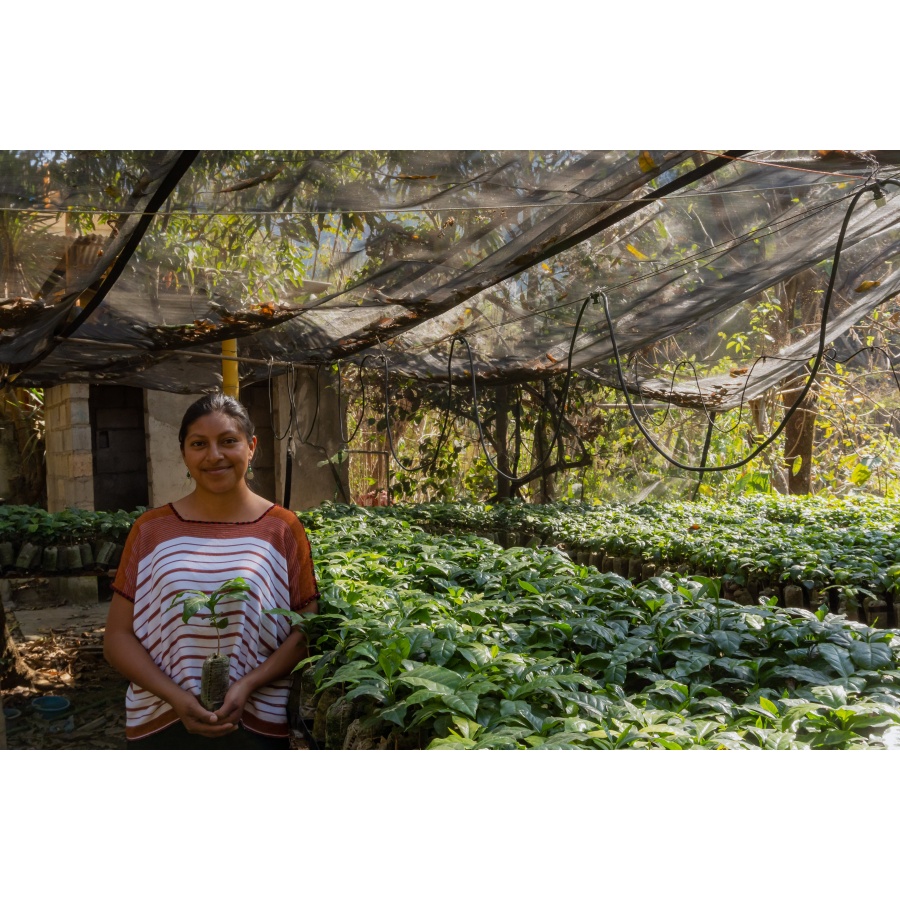 GourmetCoffee Specialty Guatemala Comal 250g