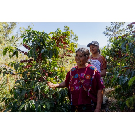 GourmetCoffee Specialty Guatemala Comal 250g