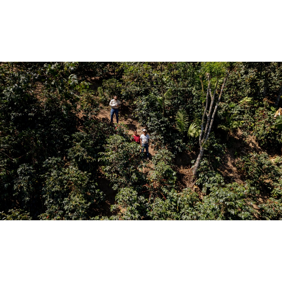 GourmetKáva Specialty Guatemala Comal 250g