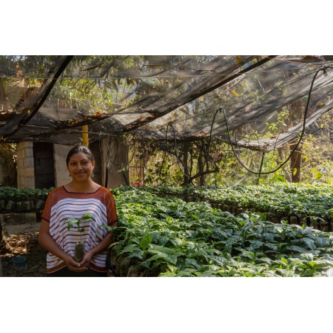 GourmetKáva Specialty Guatemala Huehuetenango ESP 250g