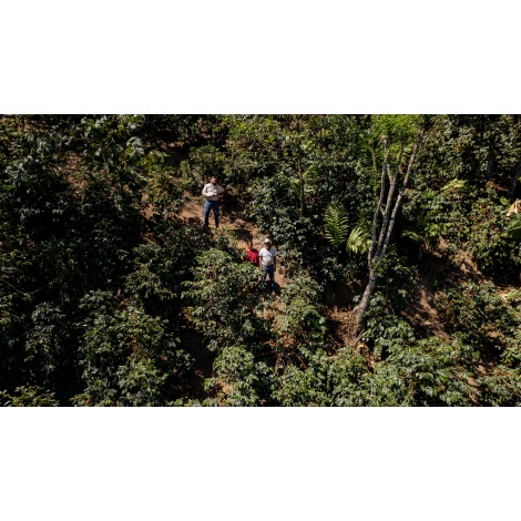 GourmetKáva Specialty Guatemala Huehuetenango ESP 250g