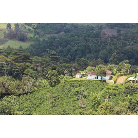 GourmetKáva Specialty Kolumbie EL SILENCIO 250g