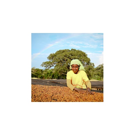 GourmetCoffee Specialty Ethiopia Uraga 250g