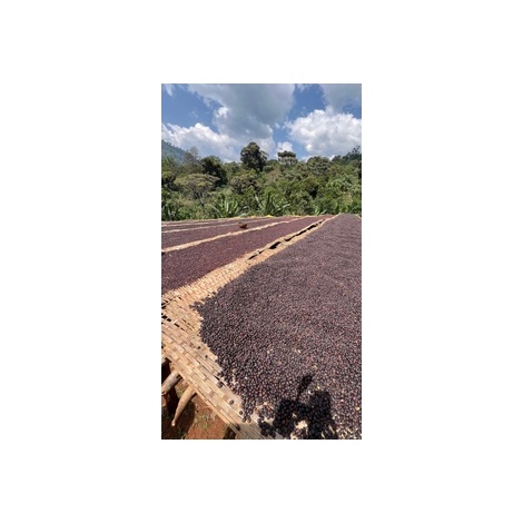 GourmetKáva Specialty Etiopie Uraga 250g