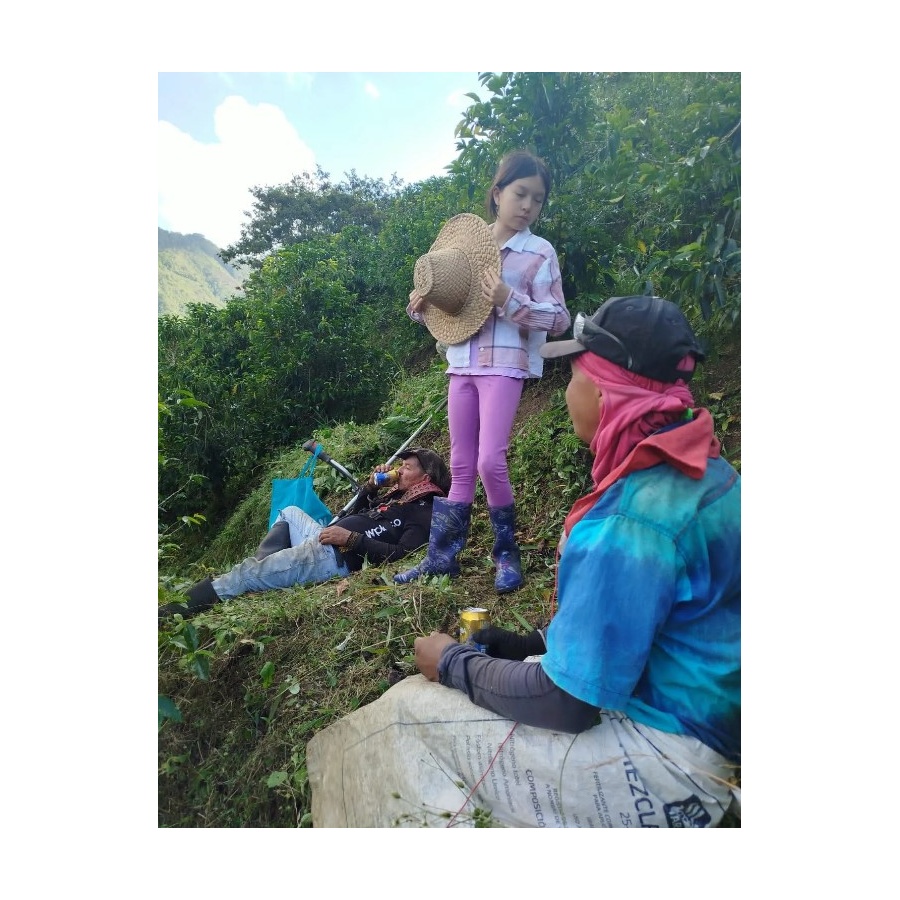 GourketKáva Specialty Columbia D. Sambony 250g