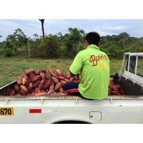 Chocolate Bonnat 100% 2