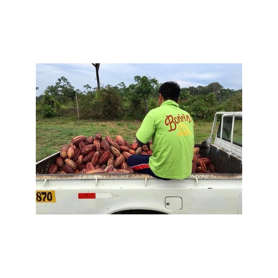 Chocolate Bonnat 100%