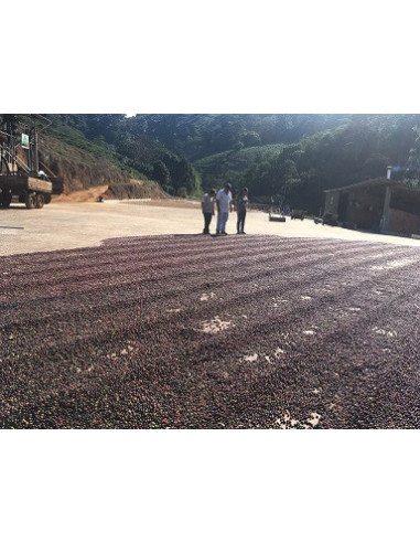 GourmetKáva Specialty Brazílie Freitas ESP 250g